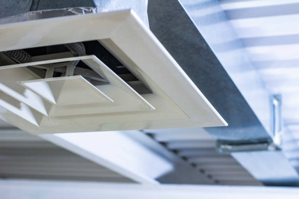 Best Air Duct Mold Removal  in Overlea, MD