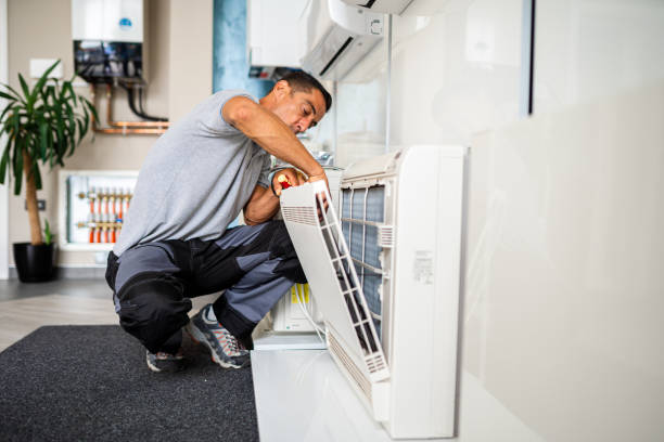 Best Air Duct Mold Removal  in Overlea, MD