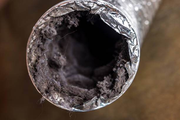 Best Air Duct Cleaning Near Me  in Overlea, MD